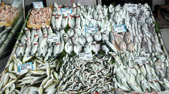 Hava Isındı, Balık Çeşidi Arttı