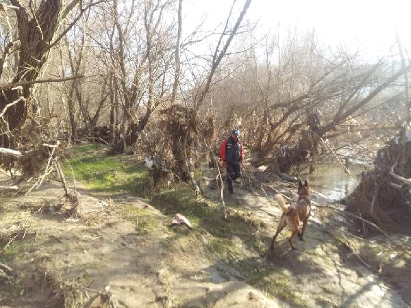 Kayıp Barış, Kadavra Köpeği 'Abrek'le Aranıyor