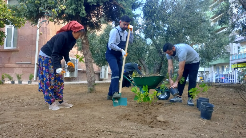 Tarihi Necip Paşa Cami'nde Çevre Düzenlemesi Yapıldı