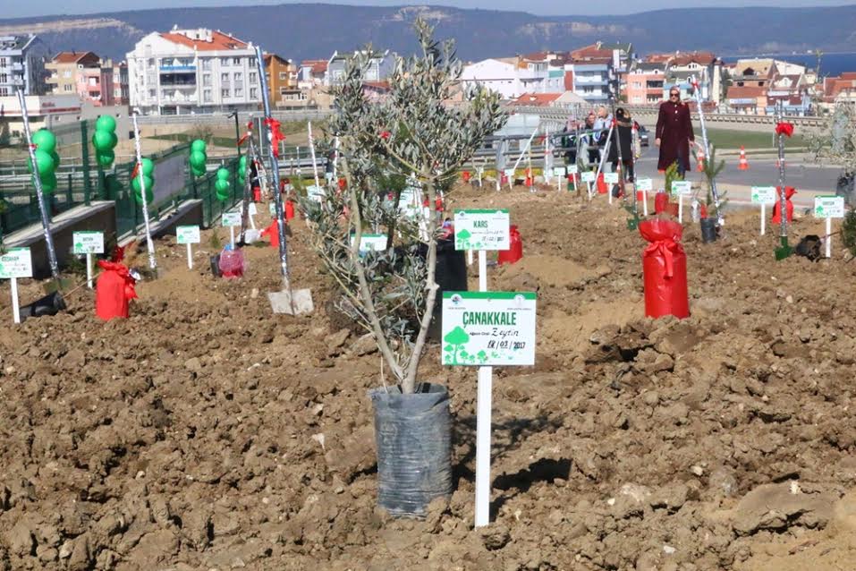 Şehitler Abidesi’nde Şehitlerimiz Rahmet, Minnet ve Şükranla Anıldı