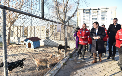 Başkan Erkek Sokak Hayvanları Bakım ve Rehabilitasyon Merkezi'ni Ziyaret Etti