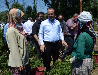 Bülent Turan'dan Dünya Çiftçiler Günü Kutlama Mesajı