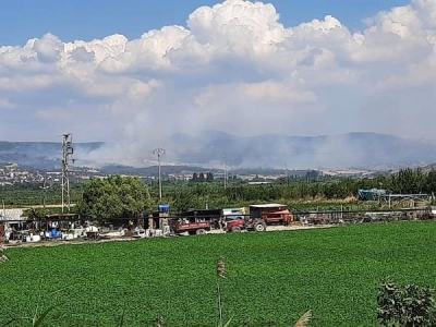 Çanakkale'de Orman Yangını