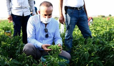 ÇANAKKALE’YE HİBE DESTEKLİ 18 TARIMSAL SULAMA PROJESİ