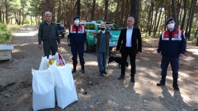 Dünya Hayvanları Koruma Günü’nde  sokak köpeklerini beslediler