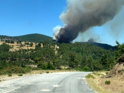 Yenice'de Orman Yangını